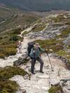 Photo d'avis client sur Trek sur la piste de Cradle Mountain Overland Track 2