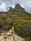 Photo d'avis client sur Trek sur la piste de Cradle Mountain Overland Track 4
