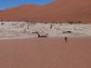 Photo d'avis client sur Parc national d'Etosha, Swakopmund et Sossusvlei (camping) 8 jours 6