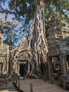 Photo d'avis client sur Circuit de 5 jours au Cambodge 1