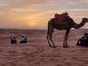 9 Days Morocco Tour: Desert, Marrakech & Essaouira from Agadir customer review photo 1