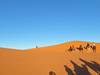 Moroccan Desert Adventure: River Canyons & Camels customer review photo 1