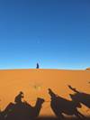 Moroccan Desert Adventure: River Canyons & Camels customer review photo 3