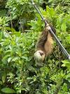 Photo d'avis client sur Aventures au Costa Rica 2