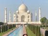 Photo d'avis client sur Meilleur circuit du Triangle d'Or en Inde avec sauvetage d'ours et d'éléphants sauvages 4