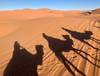 4 Days Desert Tour from Fes to Marrakech customer review photo 3