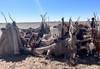 4 Days Desert Tour from Fes to Marrakech customer review photo 6