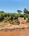 Photo d'avis client sur 4 JOURS DANS LE MASAI MARA- LAC NAKURU EN JEEP 4X4 3
