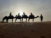 Photo d'avis client sur Circuit de 9 jours au départ de Casablanca : les incontournables du Maroc 4