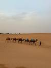 Photo d'avis client sur 5 jours d'excursion dans le désert du Sahara au départ de Marrakech 4