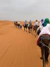 Photo d'avis client sur 5 jours d'excursion dans le désert du Sahara au départ de Marrakech 6