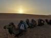 Photo d'avis client sur Marrakech à Merzouga 3 jours à dos de chameau 1