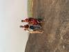 Photo d'avis client sur 9 jours en Zambie : Aventure Safari Agréable avec MWEZI Travel 4