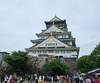 Photo d'avis client sur Le meilleur du Japon : De Tokyo à Osaka (avec guide privé, hôtels 4 étoiles) 1
