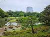 Photo d'avis client sur Le meilleur du Japon : De Tokyo à Osaka (avec guide privé, hôtels 4 étoiles) 5