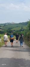 Photo d'avis client sur Vie locale Italie - Toscane San Gimignano 2