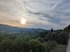 Photo d'avis client sur Vie locale Italie - Toscane San Gimignano 6