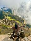 Photo d'avis client sur 6 JOURS D'AVENTURE : CUSCO, MACHU PICCHU, LAC HUMANTAY ET MONTAGNE ARC-EN-CIEL 3