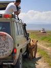 4 Day Tanzania Lodging Safari customer review photo 1