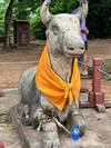 Photo d'avis client sur Les hauts lieux des temples d'Angkor - Circuit de 6 jours au Cambodge 5