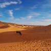Photo d'avis client sur Le meilleur du Maroc : 7 jours au départ de Casablanca 1