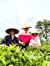 Photo d'avis client sur Aperçu de l'Indochine en 14 jours (Vietnam, Cambodge, Thaïlande) 2