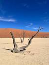 Photo d'avis client sur Sossusvlei, Swakopmund et Parc national d'Etosha - Confort - 7 jours / 6 nuits 4