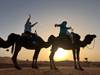 7 Day Morocco Tours From Casablanca customer review photo 2