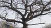 Photo d'avis client sur 12 jours - Chutes Victoria, Chobe, Parc national Kruger et Le Cap (Afrique du Sud) 3