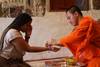 Northern Laos: Wildlife Conservation, Permaculture, and Meditation Practice with Monks customer review photo 3