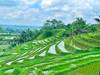 Photo d'avis client sur Incroyable Bali 10 jours - Ubud/ Yogyakarta/ Seminyak 3