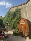 A Taste of Tuscany - Hilltop Towns and Vineyards customer review photo 2