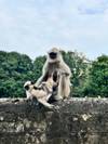 Splendors of Golden Triangle & Rajasthan customer review photo 5