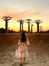 Photo d'avis client sur Safari au Baobab 3