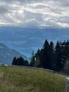 Photo d'avis client sur 5 jours à Zurich avec bac sur le lac, téléphérique, Mont Rigi, Grindelwald et Interlaken 4
