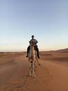 Beste 8 Tage Marokko Tour - Kaiserliche Städte und Wüste von Marrakech aus Foto von Kundenbewertung 2