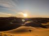 Private 9-Days Morocco Imperial Cities and Desert Tour from Casablanca customer review photo 3