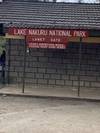 Photo d'avis client sur 5 jours de safari de migration dans le Masai Mara 6