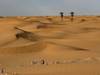 Sahara & Oasen Abenteuer Foto von Kundenbewertung 4