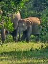 Photo d'avis client sur Découvrez la beauté du Sri Lanka 2