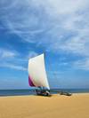 Photo d'avis client sur Découvrez la beauté du Sri Lanka 1