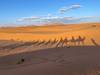 8 Days Discover Morocco Tour From Casablanca To Marrakech Via Desert customer review photo 1