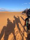 8 Days Discover Morocco Tour From Casablanca To Marrakech Via Desert customer review photo 2