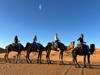 Photo d'avis client sur La magie du Maroc - 9 jours au départ de Casablanca 6
