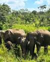 Photo d'avis client sur Découvrez la beauté du Sri Lanka 2