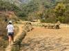 Conquer the Uncharted: The Ultimate Active Northern Laos Adventure Awaits customer review photo 5