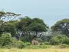 6 Days Amazing Kenya, Tanzania combined safari customer review photo 2