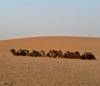 Photo d'avis client sur Aventure du Grand Maroc - 10 jours 5