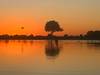 Photo d'avis client sur Le safari du sud 1