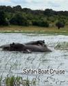 Photo d'avis client sur 12 jours - Chutes Victoria, Chobe, Parc national Kruger et Le Cap (Afrique du Sud) 4
